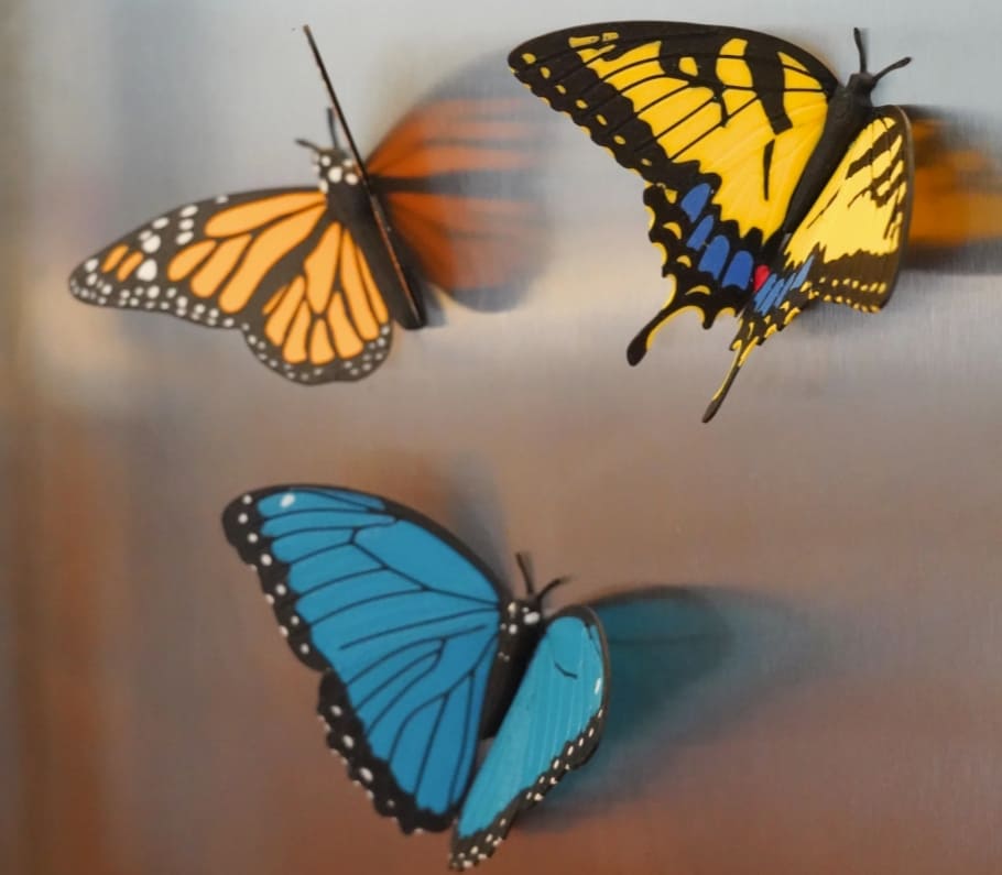 3d printed gadgets_butterfly fridge magnets